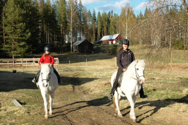 Family ride Icelandic horses