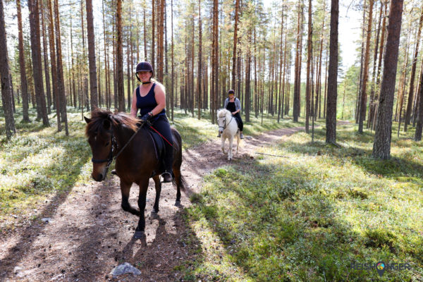 Guiding in the forest