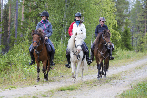 Horse adventure in Swedish Lapland