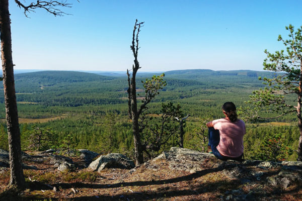 View from Vithatten in Västerbotten