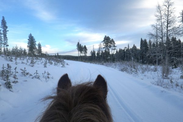 Riding day winter