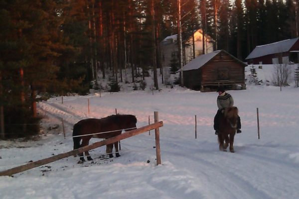 Riding in winter