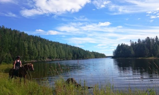 Skellefteälv river wilderness