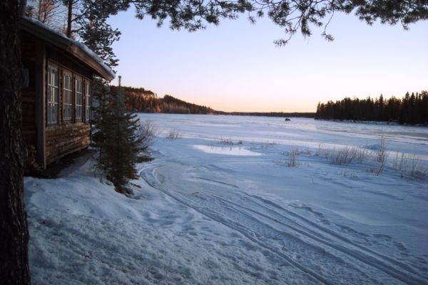 Skellefteälv winter