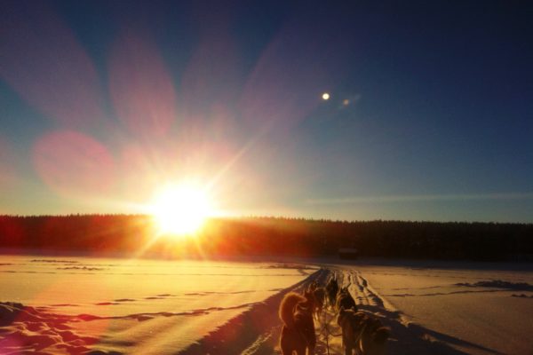 Sunrise dogsledding