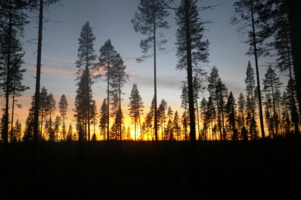 Sunset at Horses of Taiga