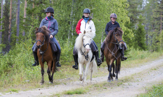 Horse adventure in Swedish Lapland