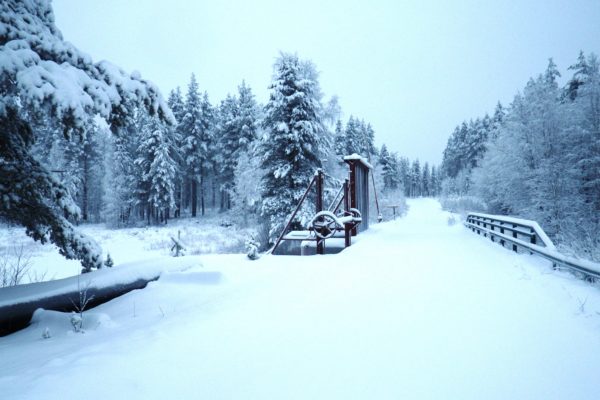 Svansele dam winter