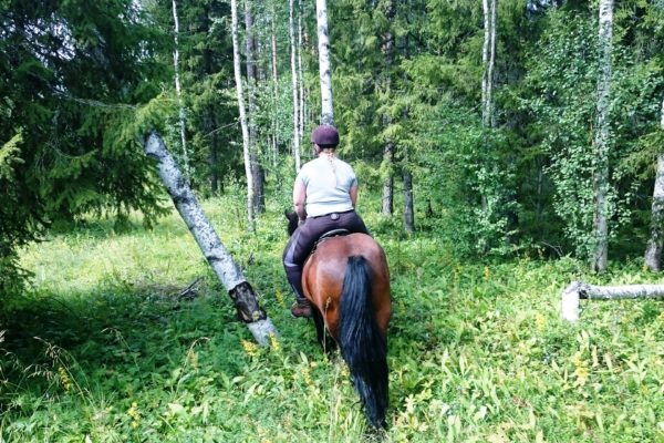 Wilderness riding