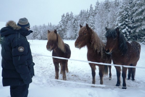 Winter visit