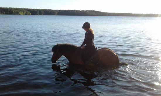 On horseback in the river Skellefteälven