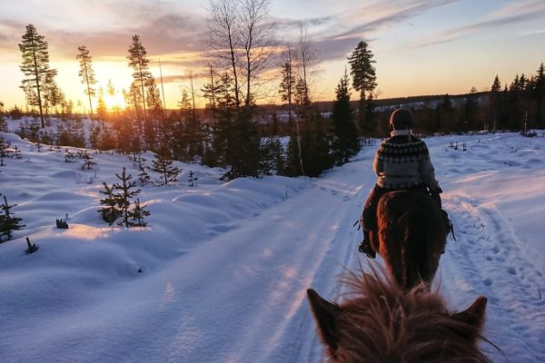 Winter light ride
