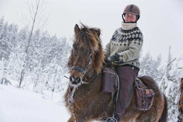 Horse guide Swedish Lapland