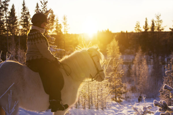 Swedish Lapland on horseback