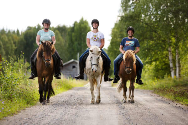 Horse riding with friends in Swedish Lapland