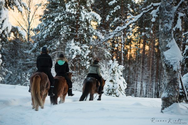 Winter horse riding