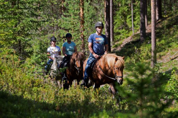 Taiga horse riding