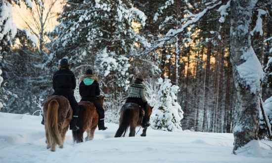 Winter horse riding