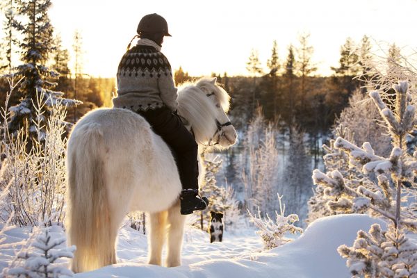 Lapland in Winter