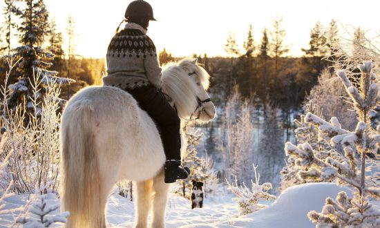 Lapland in Winter