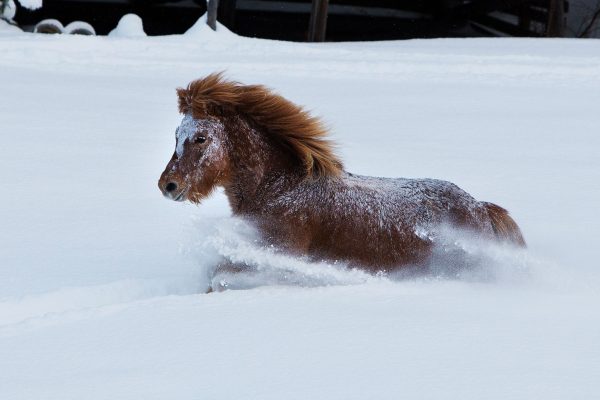 Sólfari snow