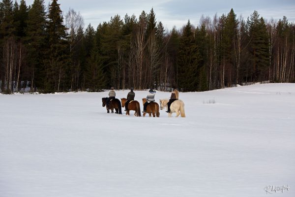 Group in the snow