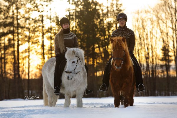 January light in Swedish Lapland