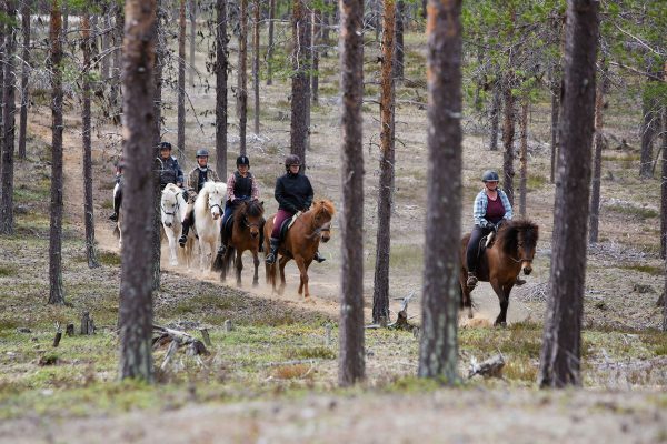 Riding in the Taiga